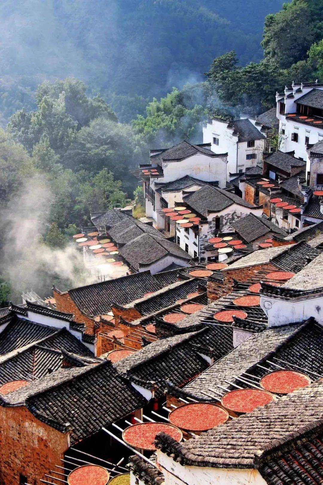 江西，绿色崛起与文化传承的璀璨明珠