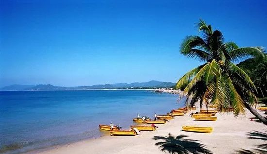 海南椰林秘境探幽